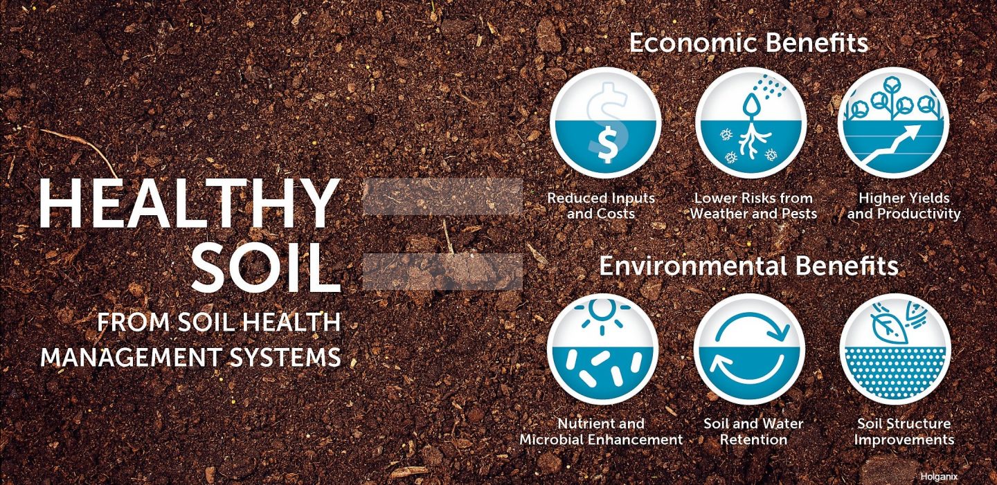 Soil Health   Taos SWCD