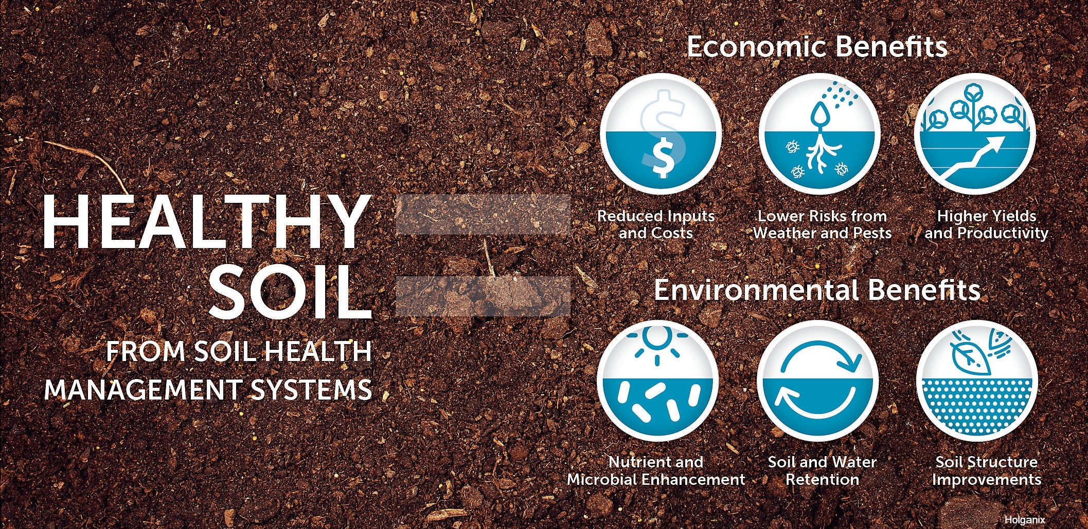 Soil Health Taos Swcd